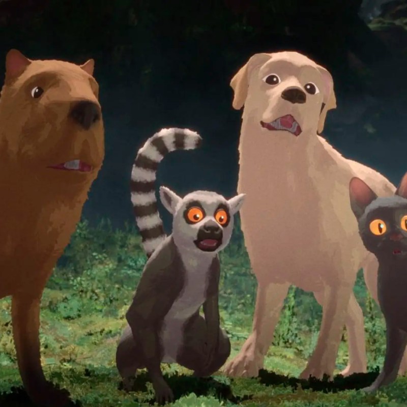 Flow: una película que habla del mundo sin decir una&nbsp;palabra